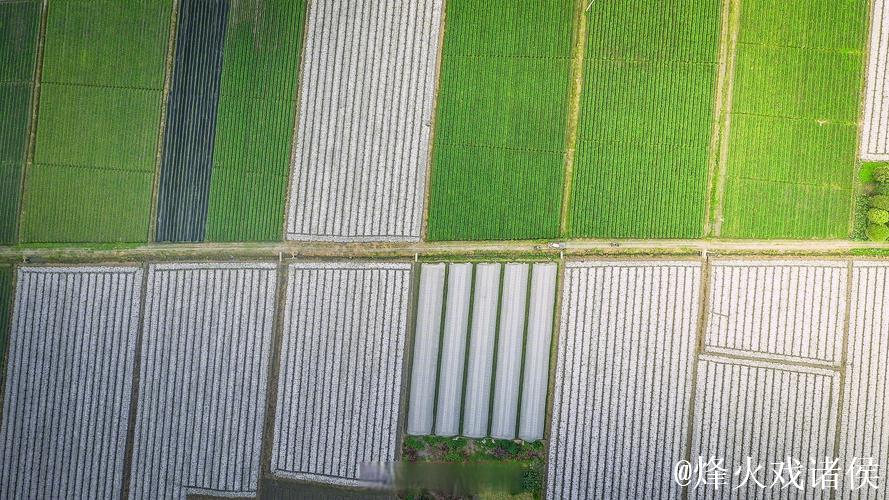 全国已春播粮食3500多万亩 全国已春播粮食3500多万亩